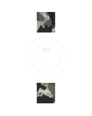 Tissot haki tekstil kayış boynuz aralığı 22 mm 